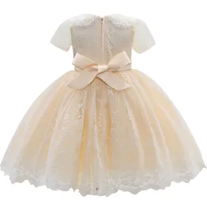 Champagne Gold Dolly Embroidered Dress