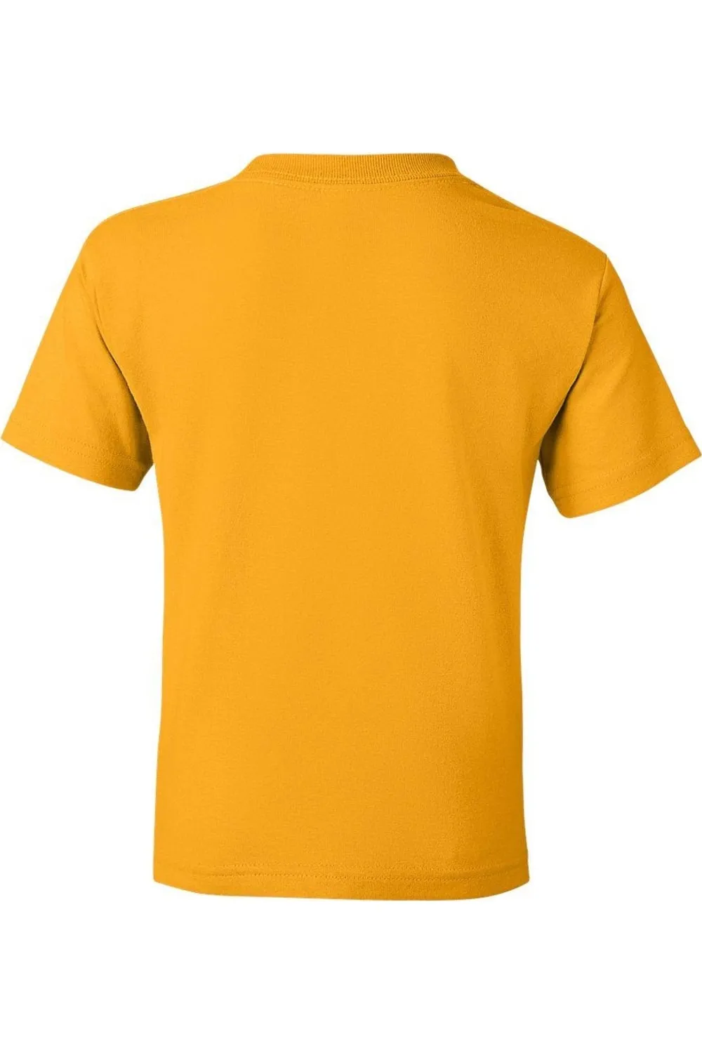 Gildan DryBlend Youth T-Shirt